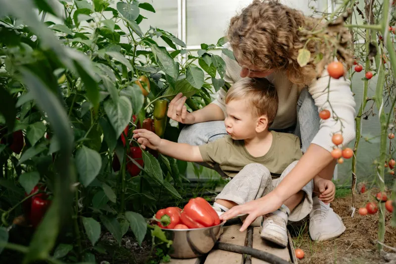 America's Victory Gardens Fed 20 Million Families — Then We Chose Perfect Lawns Over Food